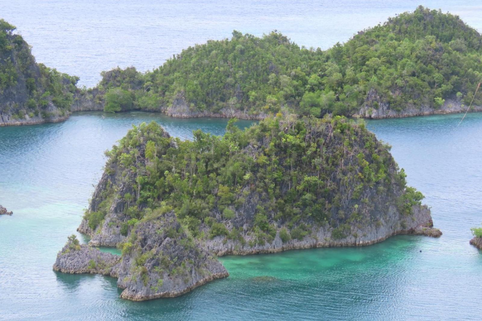 Nyanse Homestay - Raja Ampat Besir Extérieur photo