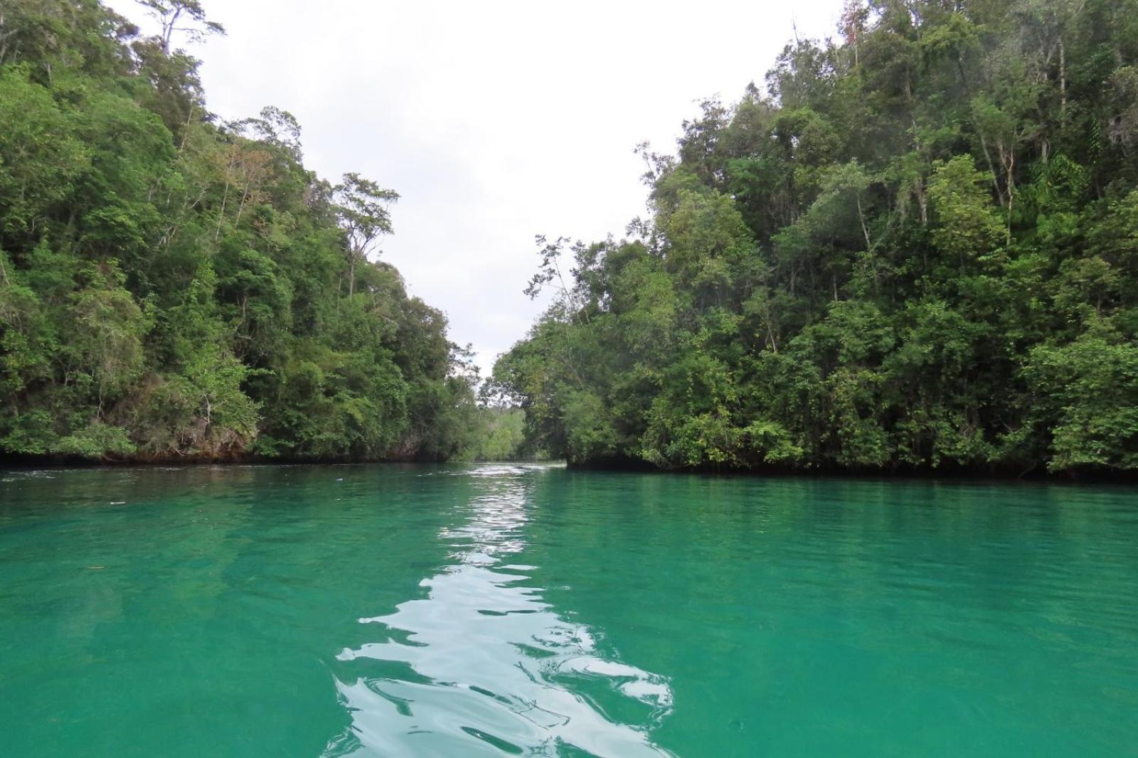 Nyanse Homestay - Raja Ampat Besir Extérieur photo