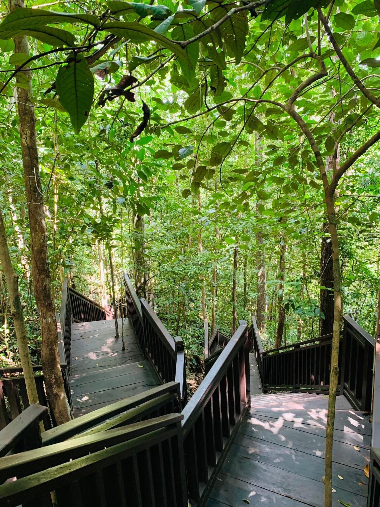 Nyanse Homestay - Raja Ampat Besir Extérieur photo