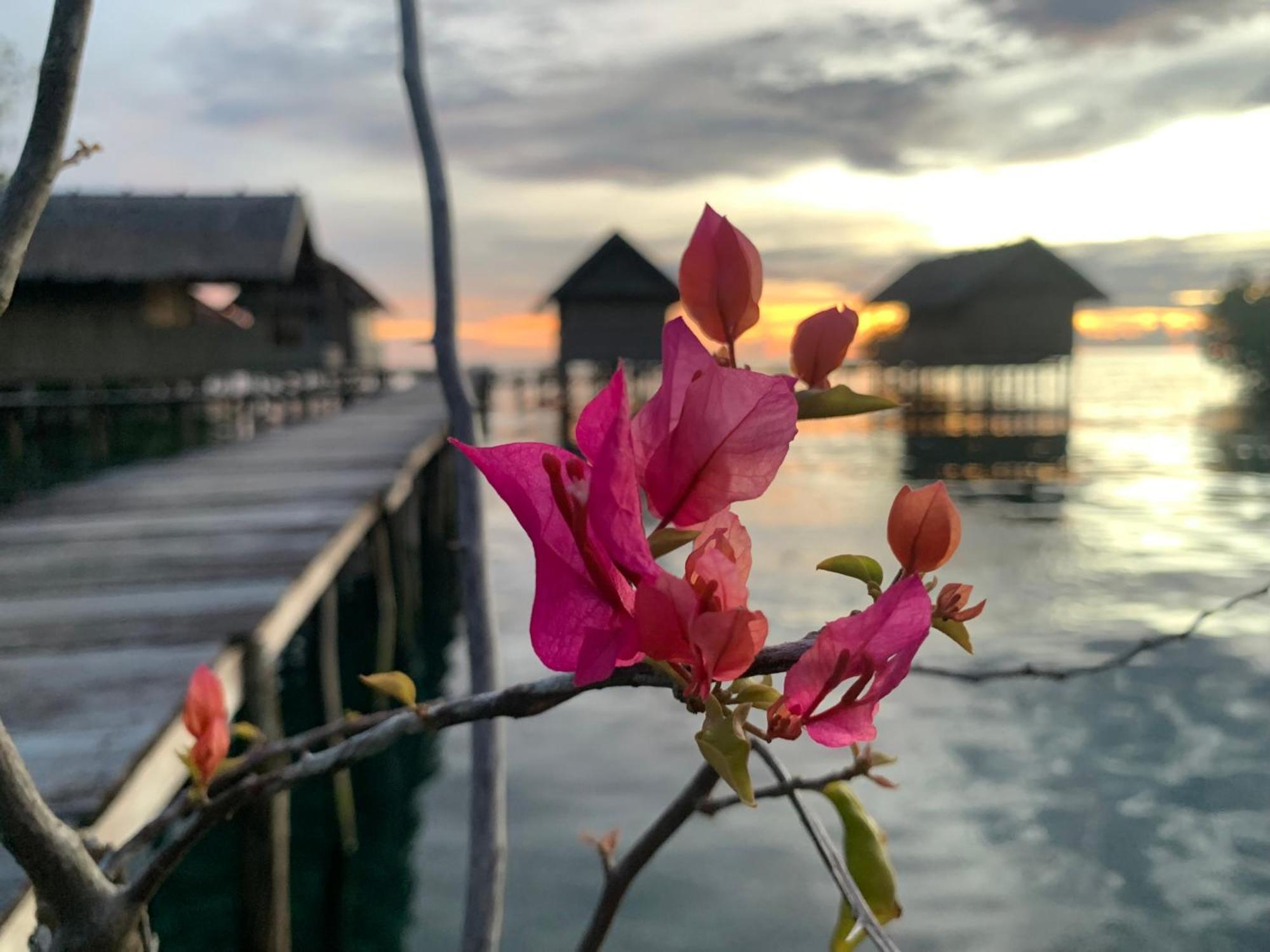 Nyanse Homestay - Raja Ampat Besir Extérieur photo